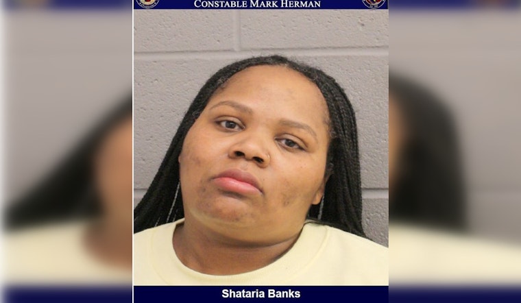 Houston Authorities Arrest Woman Suspected of $373 Theft at Houston Premium Outlets