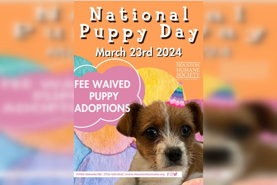 Houston Celebrates National Puppy Day with Adoption Fee Waivers and Awareness Events