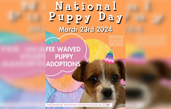 Houston Celebrates National Puppy Day with Adoption Fee Waivers and Awareness Events