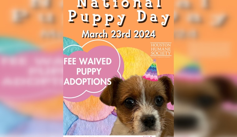 Houston Celebrates National Puppy Day with Adoption Fee Waivers and Awareness Events