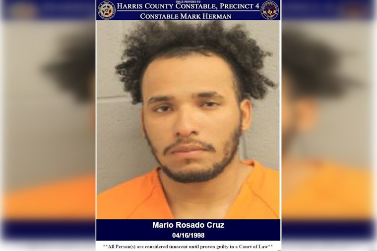 Houston Man Charged with DWI and Assaulting an Officer After Confrontation at Traffic Stop