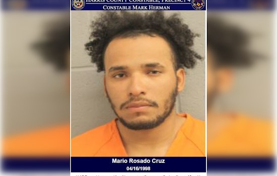 Houston Man Charged with DWI and Assaulting an Officer After Confrontation at Traffic Stop