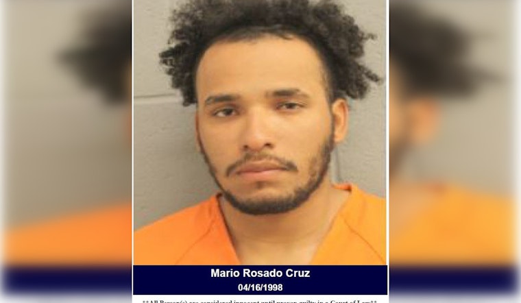 Houston Man Charged with DWI and Assaulting an Officer After Confrontation at Traffic Stop