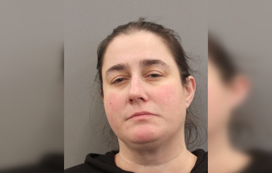 Houston Woman Charged in Fatal Hit-and-Run That Claimed Man's Life on South Kirkwood Road