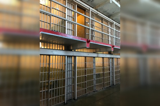 Houston Woman Sentenced to 15 Months for Illegal Wildlife Trade Involving Endangered Spider Monkey