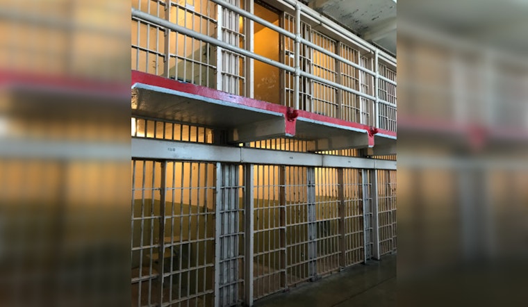 Houston Woman Sentenced to 15 Months for Illegal Wildlife Trade Involving Endangered Spider Monkey