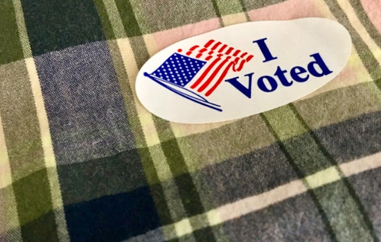 Illinois 2024 Primaries Offer Easy Voting Options Amid Unprecedented Lack of Competition