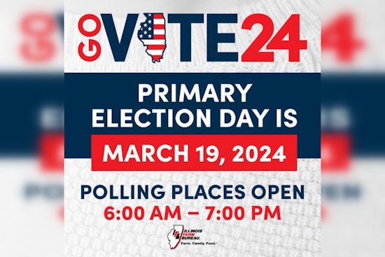 Illinois Hits the Polls for 2024 Primary, High Stakes in Cook County and Congressional Races Amid Voter Turnout Concerns
