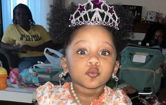 UPDATE: Flint Father Charged Under New Gun Storage Law After Toddler's Accidental Shooting