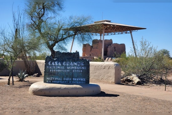 Invasive Stinknet Weed Forces Closure of Casa Grande Ruins Picnic Area Until End of April