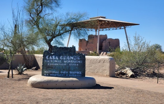 Invasive Stinknet Weed Forces Closure of Casa Grande Ruins Picnic Area Until End of April