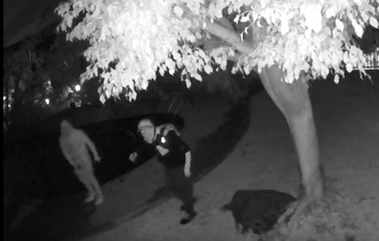 Irvine Police Issue Tips to Combat 34-Day Spree of Residential Burglaries
