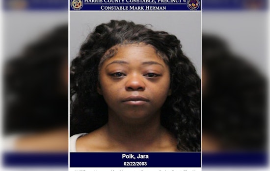 Jara Polk Charged with Aggravated Assault, Injury to Child After Atascocita Road Disturbance