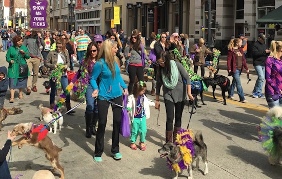 Knoxville Celebrates Mardi Growl with Festive Pet Parade and Aims to Raise Funds for Animal Center