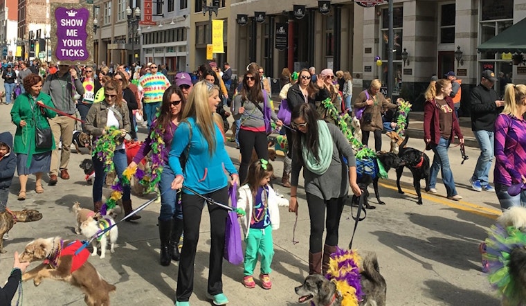 Knoxville Celebrates Mardi Growl with Festive Pet Parade and Aims to Raise Funds for Animal Center