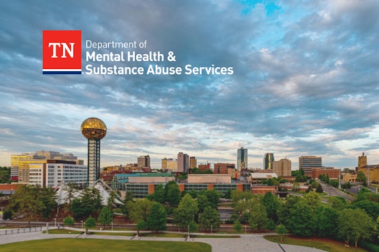 Knoxville Lawmakers Demand Action Amid Severe Mental Health Resource Shortage in East Tennessee