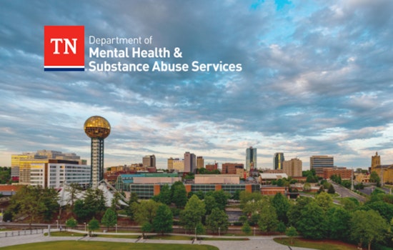 Knoxville Lawmakers Demand Action Amid Severe Mental Health Resource Shortage in East Tennessee
