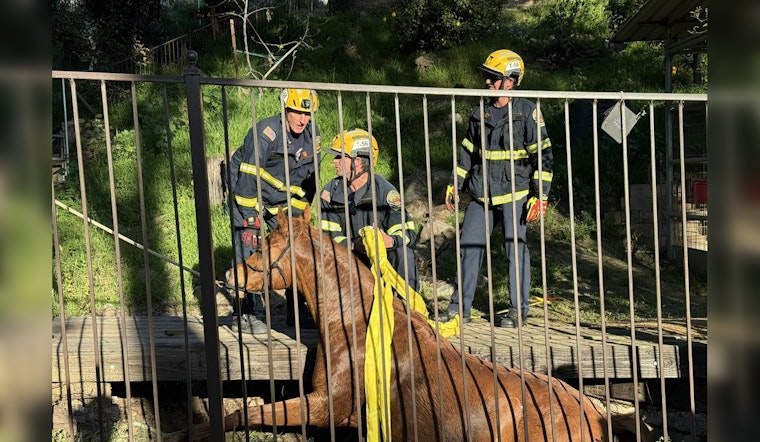 Laguna Niguel Firefighters Hailed for Successful Rescue of Trapped Horse Nala