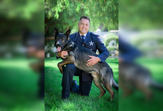 Lake County Police Dog Injured During Pursuit of Teen Suspect, Future Role in Question