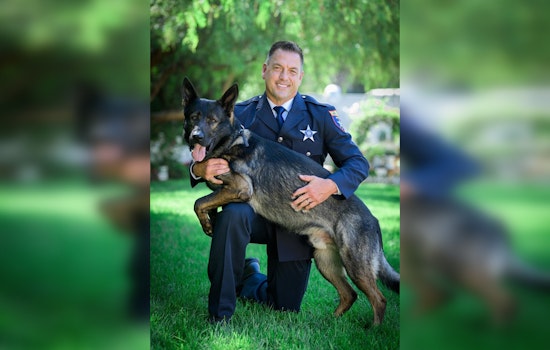Lake County Police Dog Injured During Pursuit of Teen Suspect, Future Role in Question