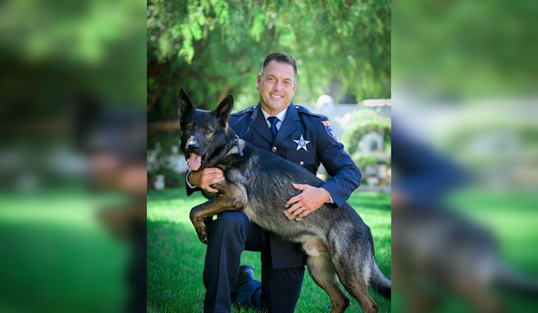 Lake County Police Dog Injured During Pursuit of Teen Suspect, Future Role in Question