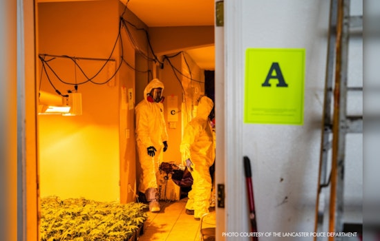 Lancaster Authorities Intensify Clampdown on Illegal Cannabis Operations to Protect Community Safety