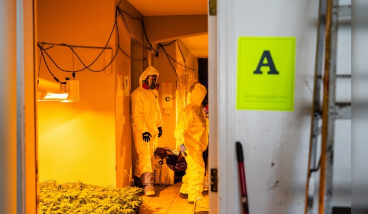 Lancaster Authorities Intensify Clampdown on Illegal Cannabis Operations to Protect Community Safety