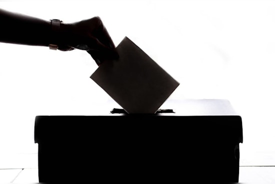 Last Chance for Houston Voters to Cast Early Ballots in Fierce 2024 Primaries