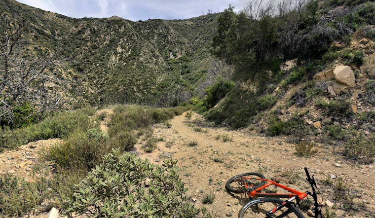 Los Angeles Fire Department Executes Helicopter Rescue for Injured Biker in Haines Canyon