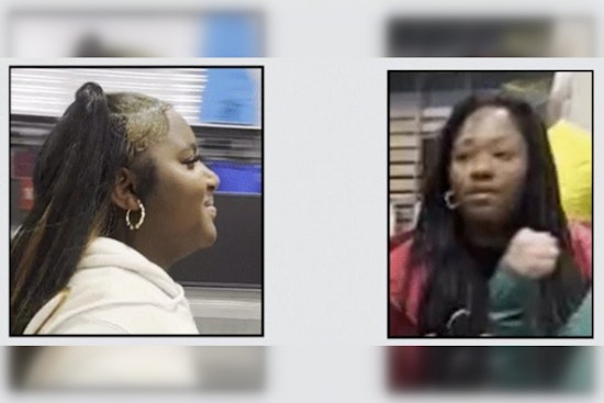 Los Angeles Sheriff's Department Seeks Public Help in Palmdale Grand Theft Case