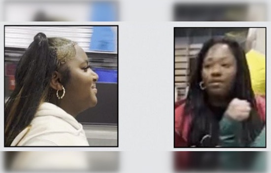 Los Angeles Sheriff's Department Seeks Public Help in Palmdale Grand Theft Case