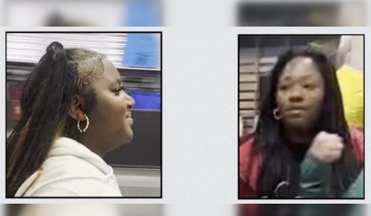 Los Angeles Sheriff's Department Seeks Public Help in Palmdale Grand Theft Case