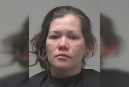 Maine Woman Accused of Swindling Newnan Couple in $14K Adoption Fraud Case