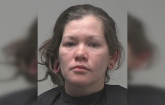 Maine Woman Accused of Swindling Newnan Couple in $14K Adoption Fraud Case