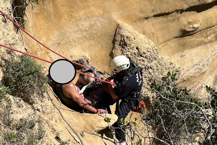Man and Dog Saved in Daring Cliffside Rescue by San Diego Fire-Rescue Department at Blacks Beach