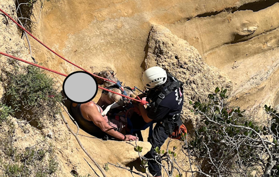 Man and Dog Saved in Daring Cliffside Rescue by San Diego Fire-Rescue Department at Blacks Beach