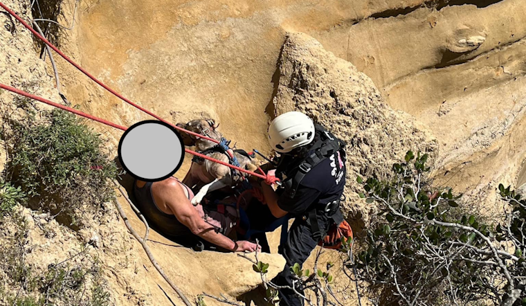 Man and Dog Saved in Daring Cliffside Rescue by San Diego Fire-Rescue Department at Blacks Beach