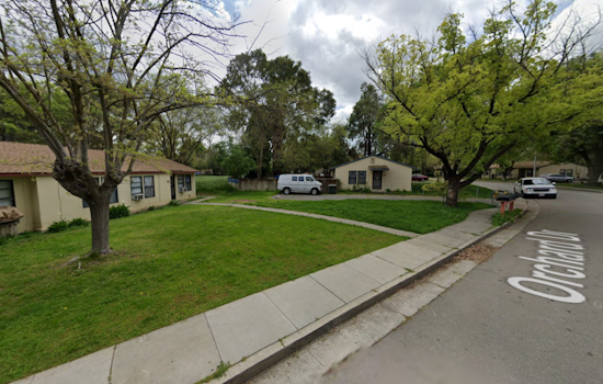 Man Survives Gunshot Barrage in Brentwood, Suspect in Custody While Police Seek Leads