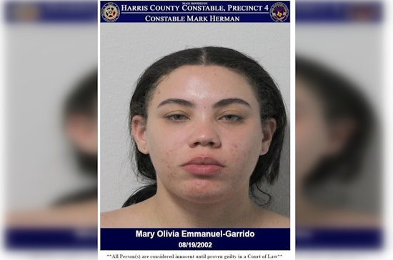 Mary Emmanuel Apprehended in Harris County on Felony Credit Card Abuse Warrant
