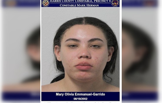 Mary Emmanuel Apprehended in Harris County on Felony Credit Card Abuse Warrant