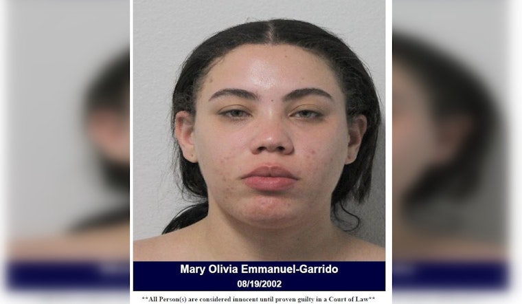 Mary Emmanuel Apprehended in Harris County on Felony Credit Card Abuse Warrant