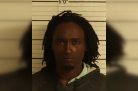 Memphis Man Antonio Holmes Faces Charges After Allegedly Killing Mother's Dog, Setting Yard Ablaze
