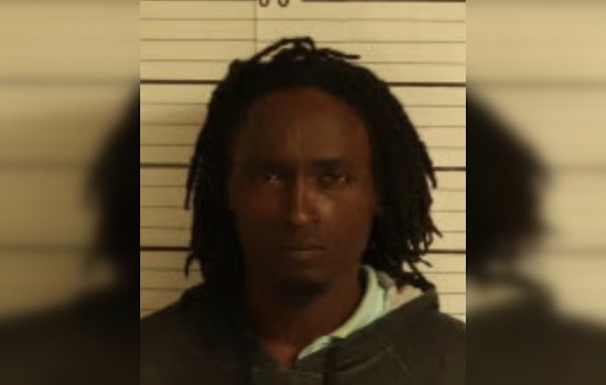 Memphis Man Antonio Holmes Faces Charges After Allegedly Killing Mother's Dog, Setting Yard Ablaze