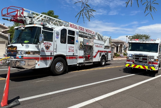Mesa Firefighters Heroically Rescue Dogs from Separate Blazes, Homes Deemed Total Losses