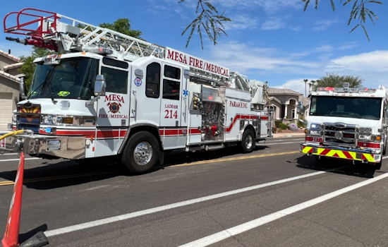 Mesa Firefighters Heroically Rescue Dogs from Separate Blazes, Homes Deemed Total Losses