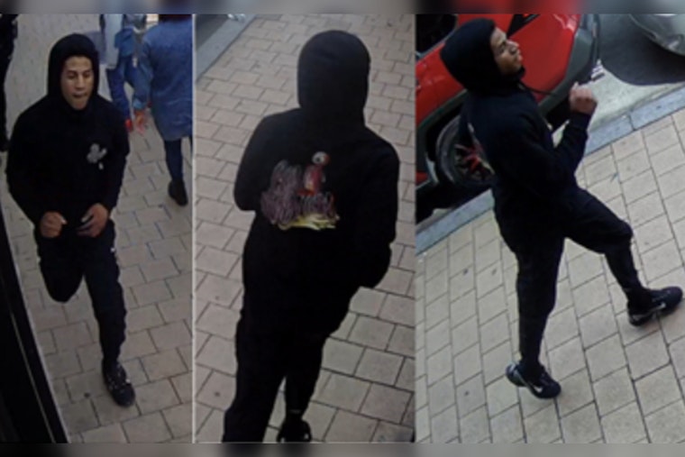 Metropolitan Police Seek Suspect in Daylight Purse Snatching Incident in Northwest D.C.