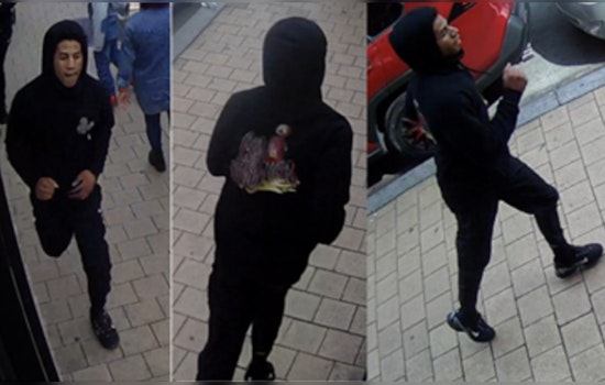 Metropolitan Police Seek Suspect in Daylight Purse Snatching Incident in Northwest D.C.