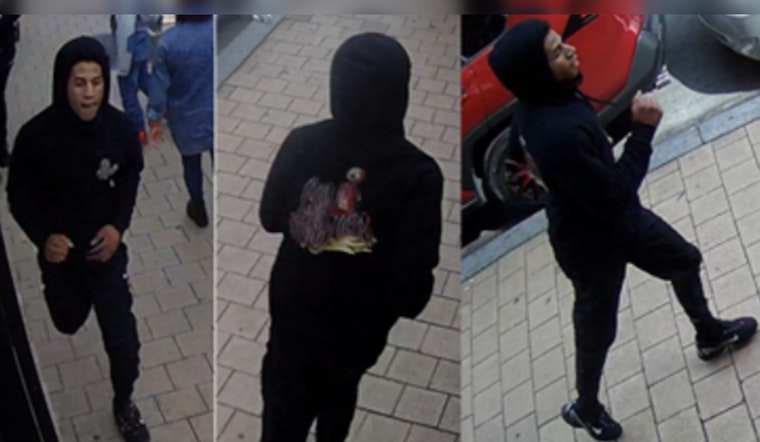 Metropolitan Police Seek Suspect in Daylight Purse Snatching Incident in Northwest D.C.