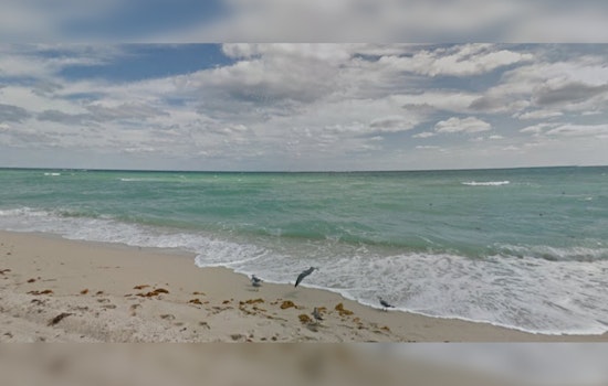 Miami Beaches Reopen as Health Officials Certify Water Safe Following Pollution Scare