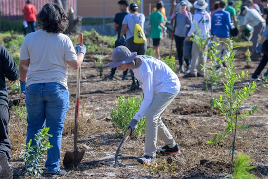Miami-Dade Rallies Volunteers for Conservation Effort to Restore Endangered Ecosystems